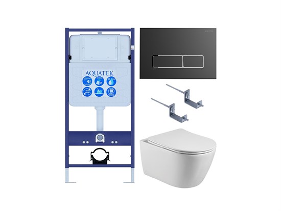 AQUATEK SET БЕТТА-065 4в1 (рама Standard INS-0000012+ крепеж KKI-0000002+клавиша KDI-0000065+унитаз БЕТТА AQ1253W-00 с тонким сиденьем sc) SET AQUATEK БЕТТА-065 4в1