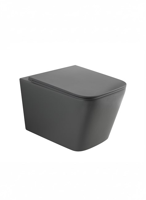 WONZON & WOGHAND Унитаз подвесной безободковый RONA, серый матовый (WW-UP2216-MG) WW-UP2216-MG