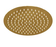 WASSERKRAFT Sauer 7100 A208 Верхняя душевая насадка, золото WASSERKRAFT A208