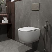 VINCEA Evo Унитаз подвесной Evo VT1-64ST Tornado, цвет белый, ультратонкое сиденье soft-close VT1-64ST