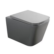 VECONI Унитаз подвесной Pulo VPU-51TGR, серый VPU-51TGR