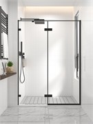 VECONI Душевая дверь распашная  Premium Alassio B, 1200х2000, черный матовый, стекло прозрачное осветленное AL-120-00-B-C4