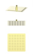 WONZON &amp; WOGHAND Верхний душ , Брашированное золото (WW-88DP06-BG) WW-88DP06-BG