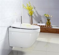 BELBAGNO Cento-R Унитаз подвесной, сиденье приобретается отдельно BELBAGNO Cento-R Унитаз подвесной, сиденье приобретается отдельно