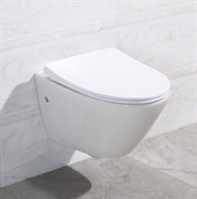 BELBAGNO Alpha Унитаз подвесной безободковый, сиденье приобретается отдельно BELBAGNO Alpha Унитаз подвесной безободковый, сиденье приобретается отдельно