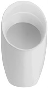 JACOB DELAFON Patio Писсуар 33,5 x 63,2 x 30 см, с открытой подводкой, встроенной сливной трубой
