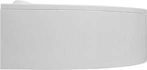 AQUANET Фронтальная панель для ванны Lyra 150 L/R AQUANET-00254804