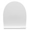 Крышка-сиденье для унитаза Roca Victoria Soft Close, тонкое 801392002 - фото 101904