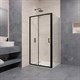 RGW PA-74B (PA-14B + Z-050-2B) 1100x700 Душевой уголок 410874117-14 - фото 133502