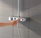 GROHE Душевая система Euphoria SmartControl 310 Duo 26507000 - фото 143303