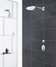 GROHE Верхний душ Euphoria SmartControl 26457000 - фото 145116