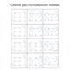 RGW Stone Tray Душевой поддон прямоугольный  ST-W Белый, размер 80x150 см 16152815-01 - фото 174518