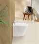BELBAGNO Flay-R Биде напольное, с крепежом, цвет белый BB1003B - фото 180902