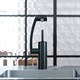 DAMIXA ARC Cмеситель для кухни, с поворотным изливом, цвет черный - фото 184343