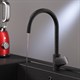 AM.PM F8007722 Like, смеситель для кухни с каналом для питьевой воды, черный, шт. - фото 185579
