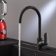 AM.PM F8007722 Like, смеситель для кухни с каналом для питьевой воды, черный, шт. - фото 185580