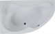 AQUANET Capri Ванна акриловая асимметричная встраиваемая / пристенная размер 170x110 см с каркасом L, белый - фото 218758