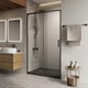 BELBAGNO Luce Душевая дверь в нишу ширина 120 см профиль - черный / стекло - прозрачное, двери раздвижные, стекло 6 мм LUCE-BF-1-120-C-NERO - фото 228874