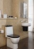 SANITA LUXE Унитаз-компакт Best с быстросъемным сидением микролифт и черной крышкой WC.CC/Best/2-DM/BLK.G/S1 - фото 254283