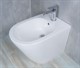 GID Биде напольное BDN-30 21104 белый 51.5x36.5x43 GID-21104