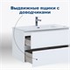AQUANET Тумба под раковину подвесная Алвита New 100 2 ящика, белый матовый AQUANET-277518 - фото 265010
