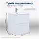 AQUANET Тумба под раковину подвесная Терра 60 белый матовый AQUANET-313232 - фото 269157