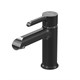 GROSSMAN Смеситель для раковины Alba 510.K35.06.100/210 хром с черным 510.K35.06.100/210 - фото 297767