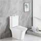 AZARIO Унитаз-компакт  AVERO 660x360х820 напольный, безободковый со смывным механизмом Geberit, бачком и сиденьем микролифт (AZ-1213A-G) AZ-1213A-G - фото 302219