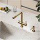 SANCOS Смеситель для кухни Foster с возможностью подключения фильтра для воды, цвет полированное золото, арт. SC4014ZG SC4014ZG - фото 311143