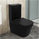 AZARIO Black King Унитаз-компакт 370х640х810 безободковый, с быстросъемным сиденьем микролифт, черный матовый (AZ-8303D) AZ-8303-D