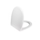 IDDIS Сиденье для унитаза, полипропилен, Soft Close, , 007, (007PPSCi31) 007PPSCi31