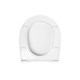 IDDIS Сиденье для унитаза, полипропилен, , 001, (001PP00i31) 001PP00i31