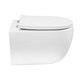 AZARIO Унитаз подвесной Rime 490х360х360 безободковый, система смыва "Скрытое Торнадо", в комплекте с быстросъемным сиденьем "Микролифт" (AZ-1683WHD) AZ-1683WHD