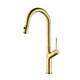 AQUAme AQM9905BG  Cucina  Смеситель для кухни с выдвижным U-образным изливом,  с подключением к фильтру с питьевой водой, золото шлифованное AQM9905BG