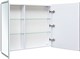 AQUANET Зеркальный шкаф Оптима 100 с LED подсветкой AQUANET-341427
