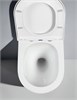 AQUATEK SET ЛИБЕРТИ-INS17-034 (рама INS-0000017 + KKI-0000001 + KDI-0000034 унитаз ЛИБЕРТИ AQ1999T-00 с тонким сиденьем sc SET AQUATEK ЛИБЕРТИ-INS17-034
