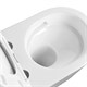 AQUATEK SET ОБЕРОН T KDI10 (рама Standard INS-0000012 с клавишей KDI-0000010 и крепежом KKI-0000002 +унитаз ОБЕРОН AQ1365T-00 с сиденьем sc) SET AQUATEK ОБЕРОН T KDI10