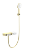 WONZON & WOGHAND Смеситель для ванны с душем Shelf, Брашированное золото (WW-B2551-BG) WW-B2551-BG