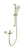 WONZON & WOGHAND Смеситель для душа с гарнитуром ClickPlate, Брашированное золото (WW-B2052-A-BG) WW-B2052-A-BG