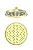 WONZON & WOGHAND Верхний душ , Брашированное золото (WW-88DP05-BG) WW-88DP05-BG