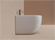 CERAMICA NOVA Напольное биде Метрополь (Metropol), 1 отверстие под смеситель, в комплекте крепеж для монтажа (цвет белый матовый) CN4005MW