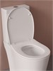 IDDIS Сиденье из полипропилена, 009, микролифт (soft-close), быстросъемное, 009PPSEi31 009PPSEi31