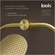 IDDIS Полотенцедержатель-кольцо, нержавеющая сталь, Дюна (Duna), золото матовое, DUNMGO0i51 DUNMGO0i51