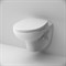 AM.PM Clean Care механическая крышка-биде CCM7851WH