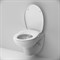AM.PM Clean Care механическая крышка-биде CCM7851WH